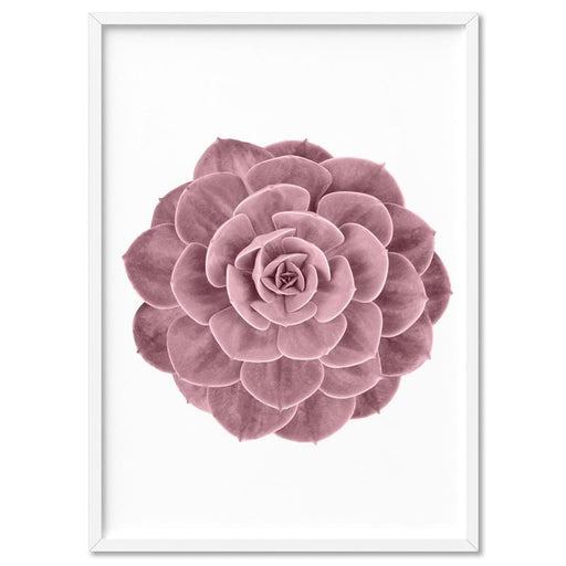 Blush Succulent II - Art Print - Ozark Home