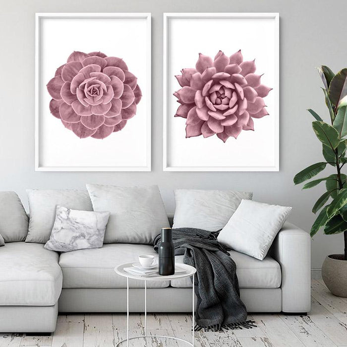 Blush Succulent II - Art Print - Ozark Home