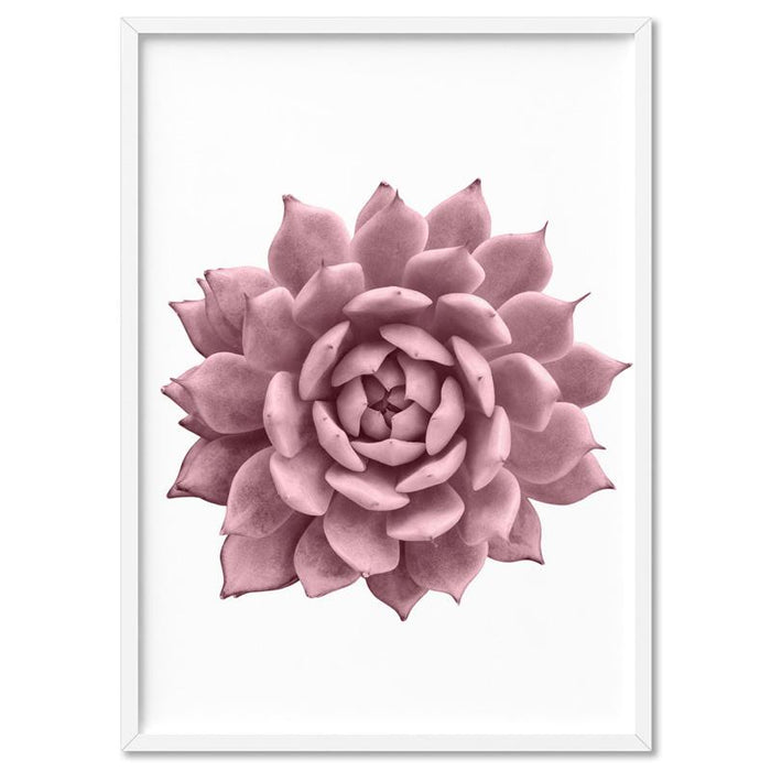 Blush Succulent I - Art Print - Ozark Home