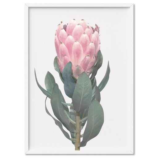 Queen Protea Vintage Portrait - Art Print - Ozark Home