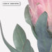 Queen Protea Vintage Portrait - Art Print - Ozark Home
