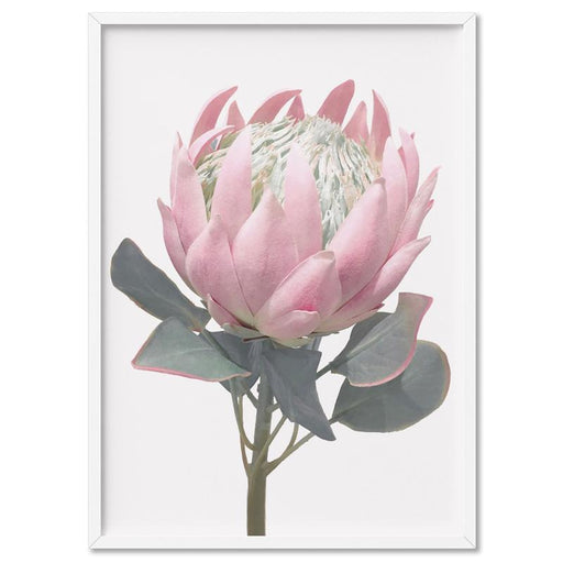 King Protea Vintage Portrait - Art Print - Ozark Home