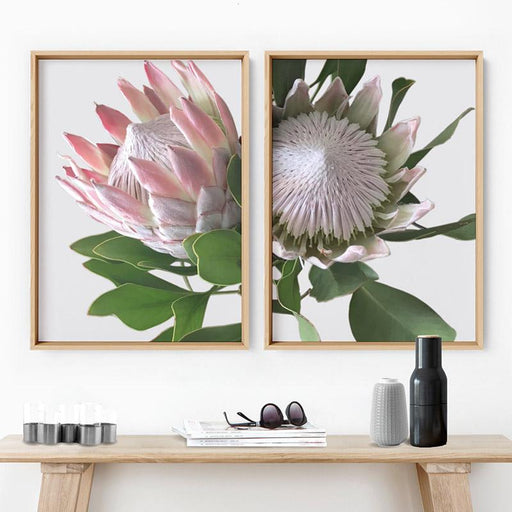 King Protea Soft Blush - Art Print - Ozark Home