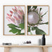 King Protea Soft Blush - Art Print - Ozark Home