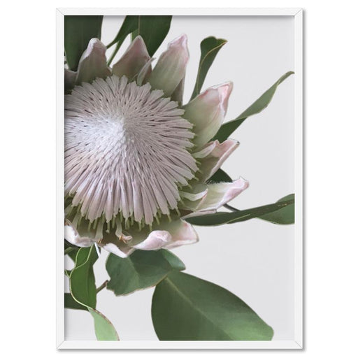 King Protea White - Art Print - Ozark Home