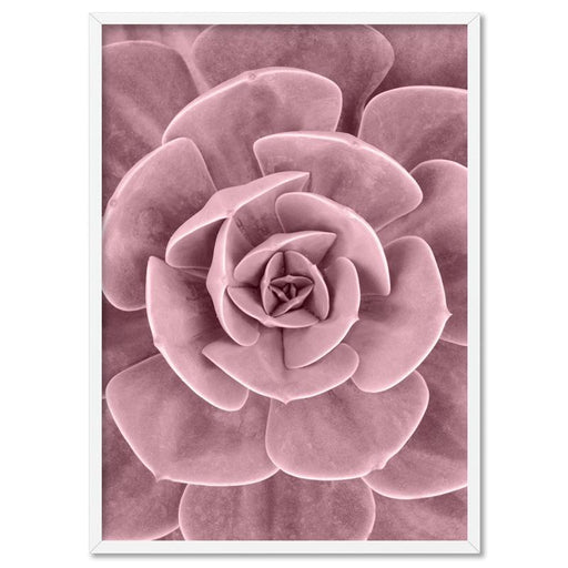 Blush Succulent III - Art Print - Ozark Home