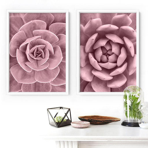 Blush Succulent III - Art Print - Ozark Home