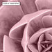Blush Succulent III - Art Print - Ozark Home