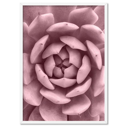 Blush Succulent IV - Art Print - Ozark Home