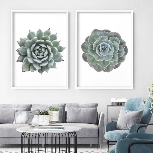 Succulent I - Art Print - Ozark Home