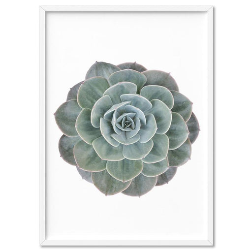 Succulent II - Art Print - Ozark Home