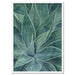 Agave Detail I - Art Print - Ozark Home