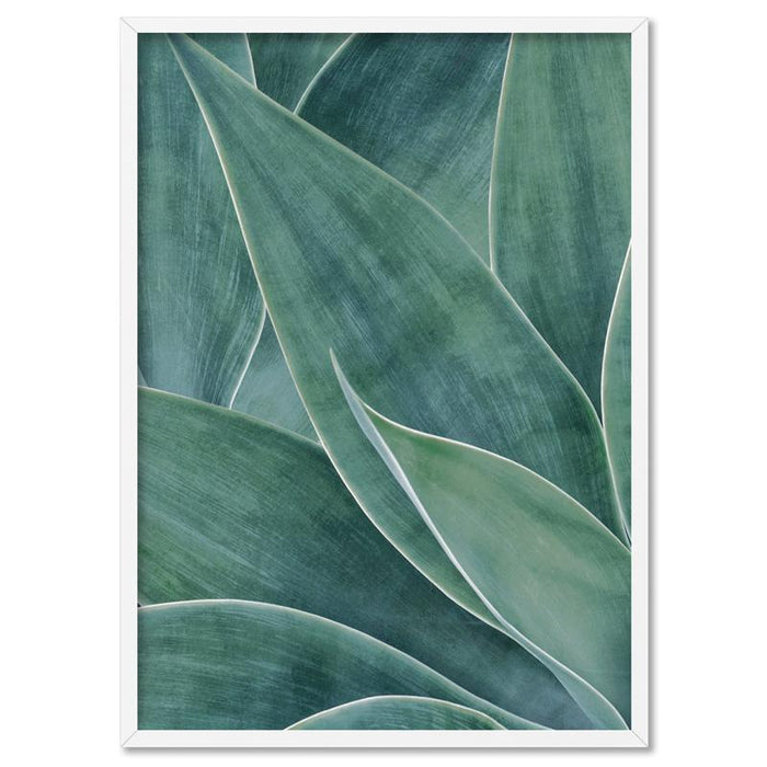 Agave Detail II - Art Print - Ozark Home