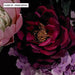 Dark Floral I - Art Print - Ozark Home