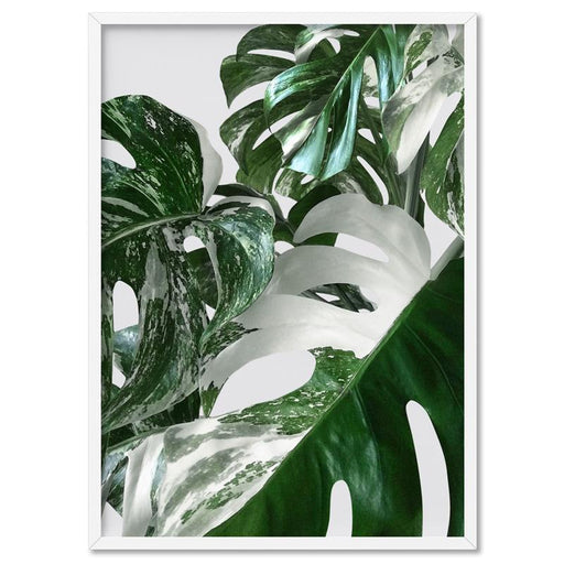 Monstera Variegated Leaves I - Art Print - Ozark Home