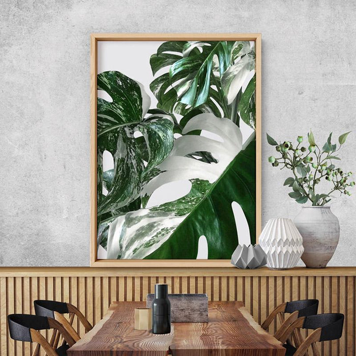 Monstera Variegated Leaves I - Art Print - Ozark Home