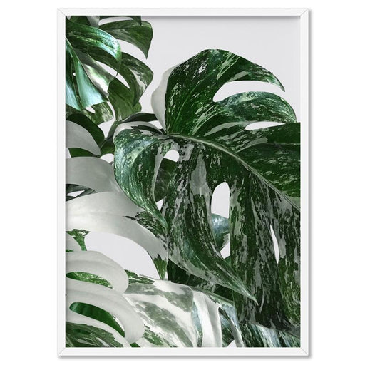 Monstera Variegated Leaves II - Art Print - Ozark Home