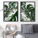 Monstera Variegated Leaves II - Art Print - Ozark Home