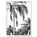 Palms Black & White - Art Print - Ozark Home