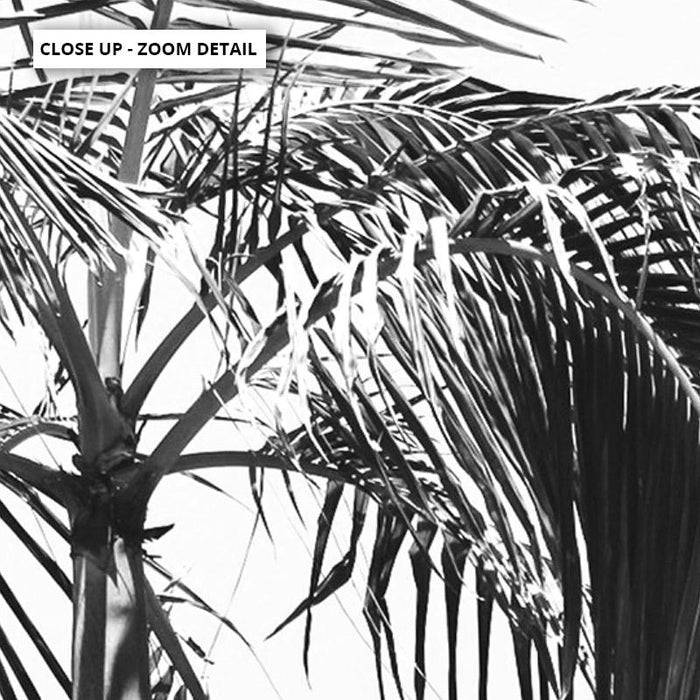 Palms Black & White - Art Print - Ozark Home