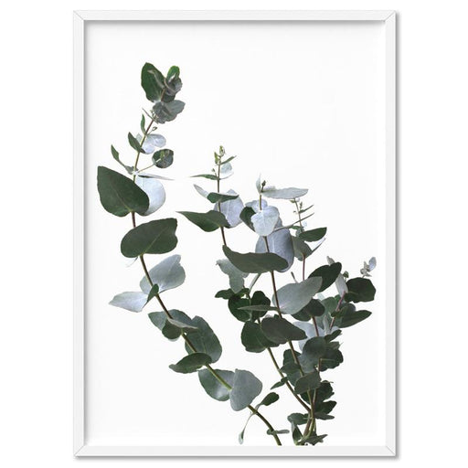 Eucalyptus Gum Leaves I  - Art Print - Ozark Home