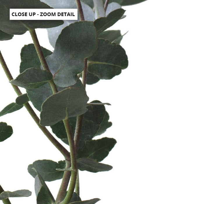 Eucalyptus Gum Leaves I  - Art Print - Ozark Home