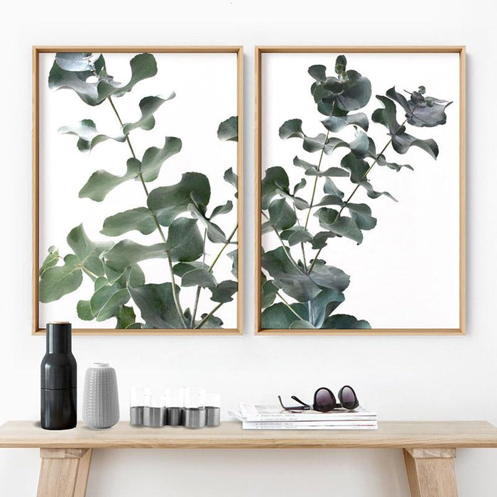 Eucalyptus Gum Leaves II  - Art Print - Ozark Home