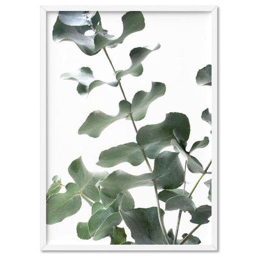 Eucalyptus Gum Leaves II  - Art Print - Ozark Home