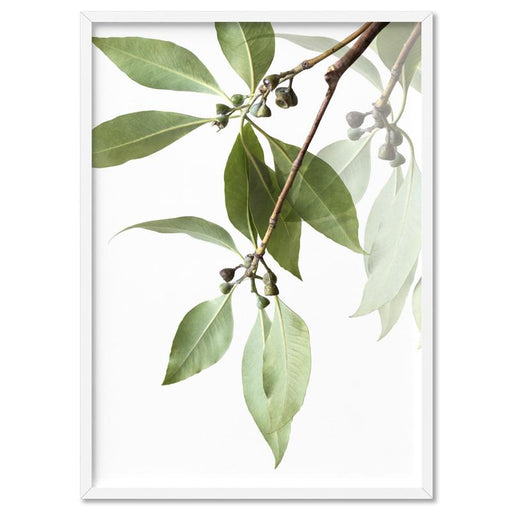 Gumtree Eucalyptus Leaves I - Art Print - Ozark Home