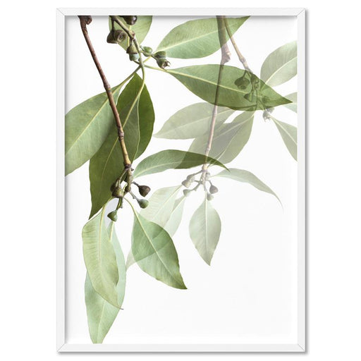 Gumtree Eucalyptus Leaves II - Art Print - Ozark Home