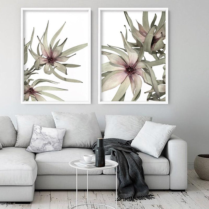 Leucadendron Dried Flowers I - Art Print - Ozark Home