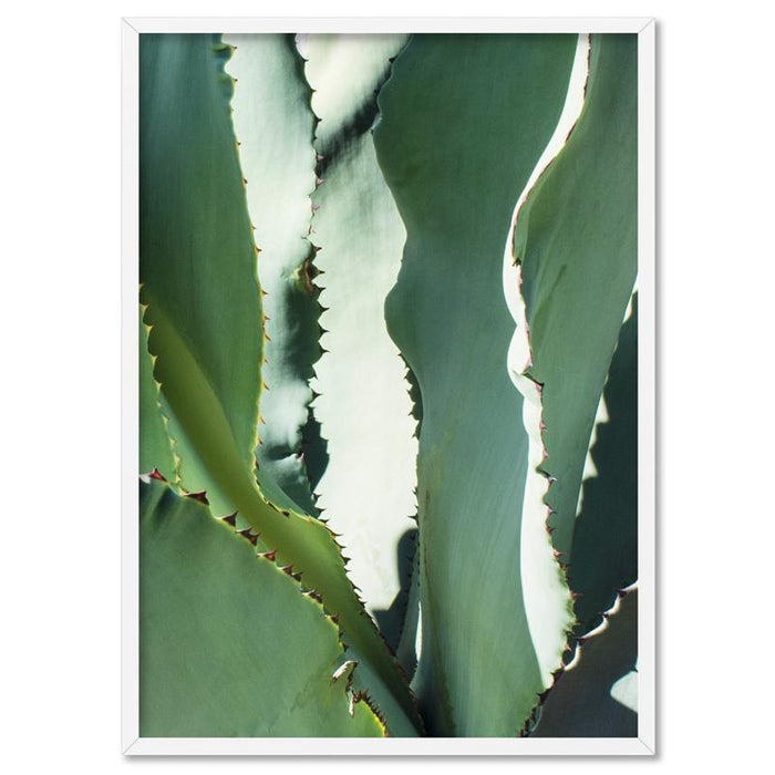 Agave Study I - Art Print - Ozark Home