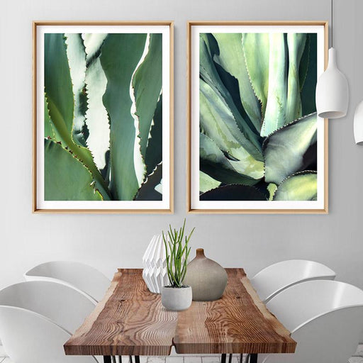 Agave Study I - Art Print - Ozark Home