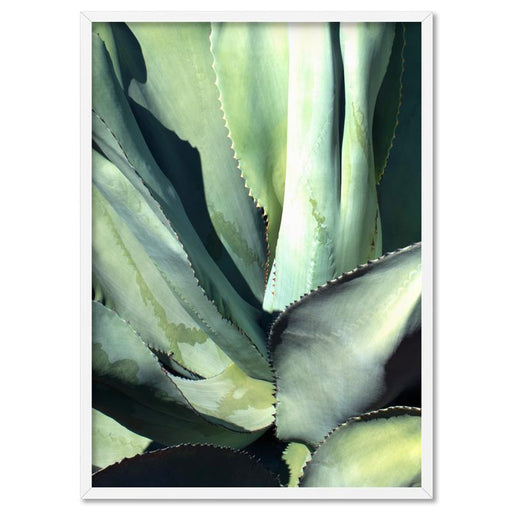 Agave Study II - Art Print - Ozark Home