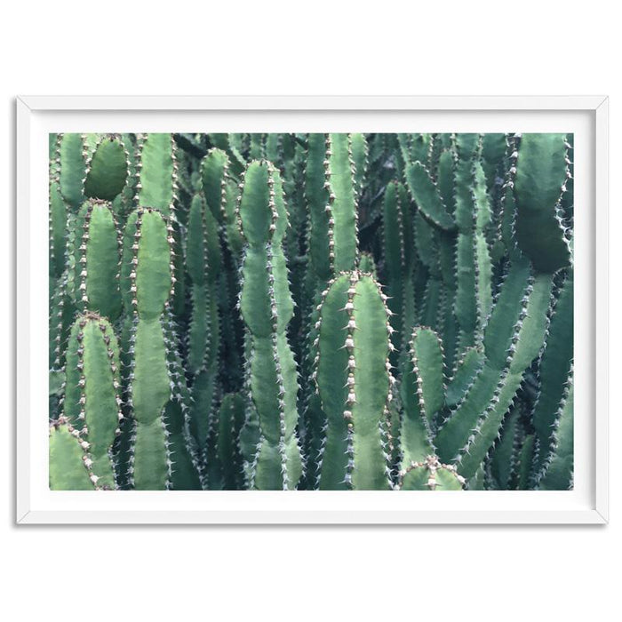 Prickly Cacti Garden - Art Print - Ozark Home