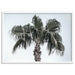 California Coastal Palm Tree Landscape - Art Print, Wall Art, Ozark Home 