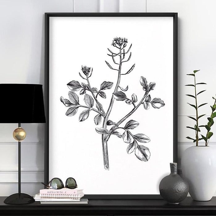 Botanical Floral Illustration I - Art Print, Wall Art, Ozark Home 