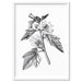 Botanical Floral Illustration II - Art Print, Wall Art, Ozark Home 