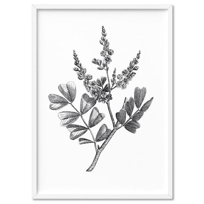 Botanical Floral Illustration III - Art Print, Wall Art, Ozark Home 