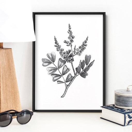 Botanical Floral Illustration III - Art Print, Wall Art, Ozark Home 