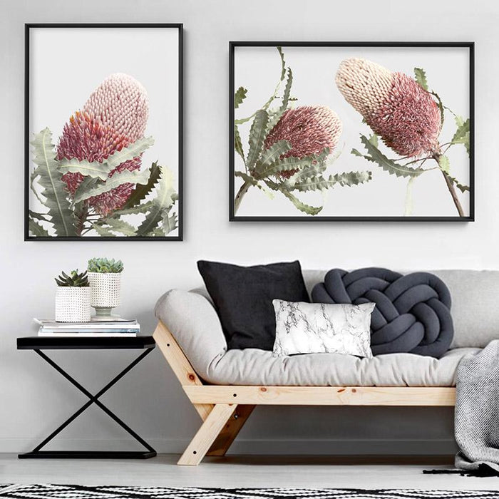 Blushing Banksia Duo Landscape - Art Print, Wall Art, Ozark Home 