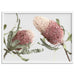 Blushing Banksia Duo Landscape - Art Print, Wall Art, Ozark Home 