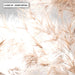 Pampas Grass Ethereal Light I - Art Print, Wall Art, Ozark Home 