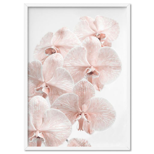 Blushing Orchid Blooms I - Art Print, Wall Art, Ozark Home 