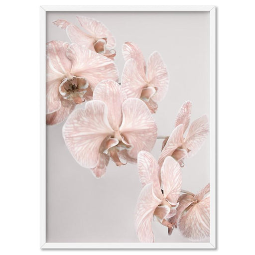 Blushing Orchid Blooms II - Art Print, Wall Art, Ozark Home 