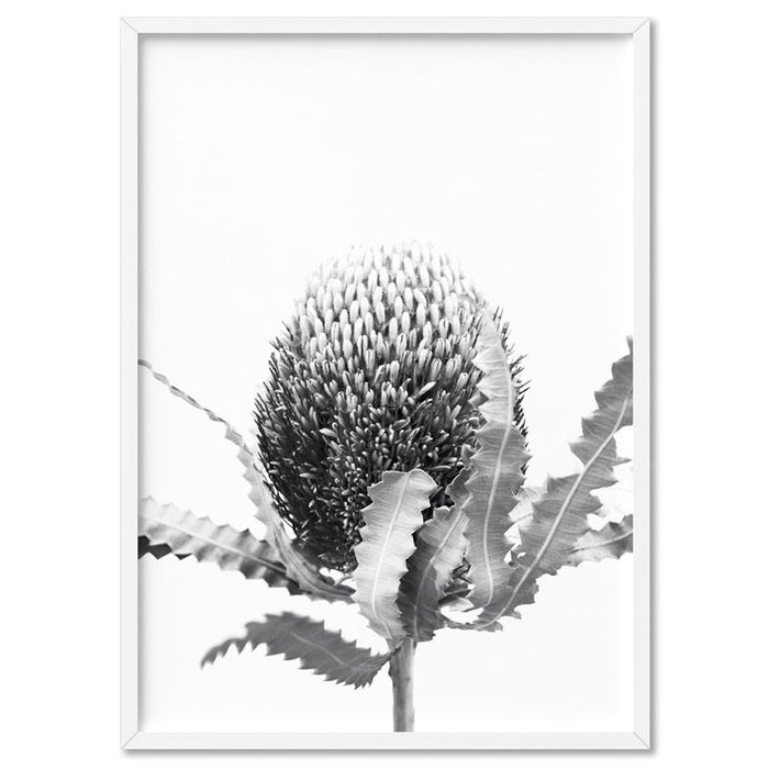 Banksia Flower Black and White - Art Print, Wall Art, Ozark Home 