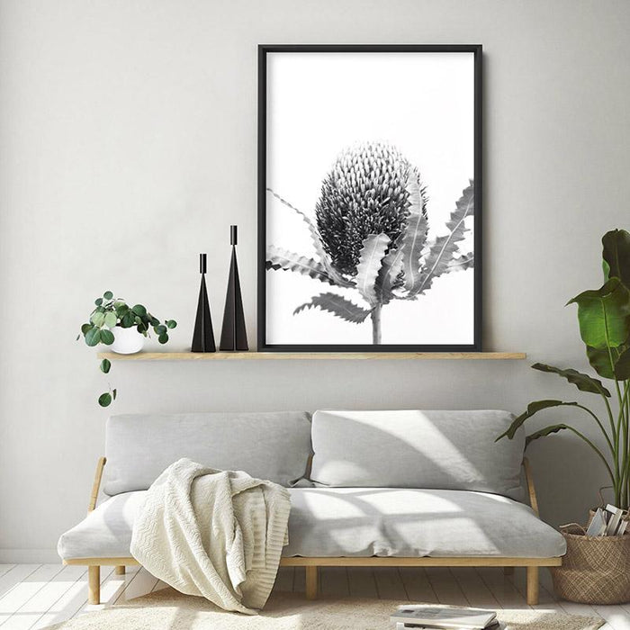 Banksia Flower Black and White - Art Print, Wall Art, Ozark Home 