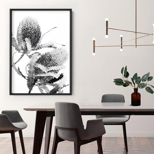 Banksia Flower Duo Black and White - Art Print, Wall Art, Ozark Home 