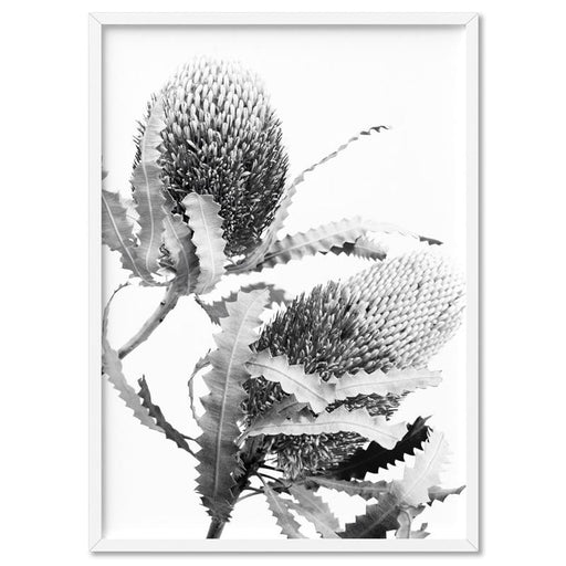 Banksia Flower Duo Black and White - Art Print, Wall Art, Ozark Home 