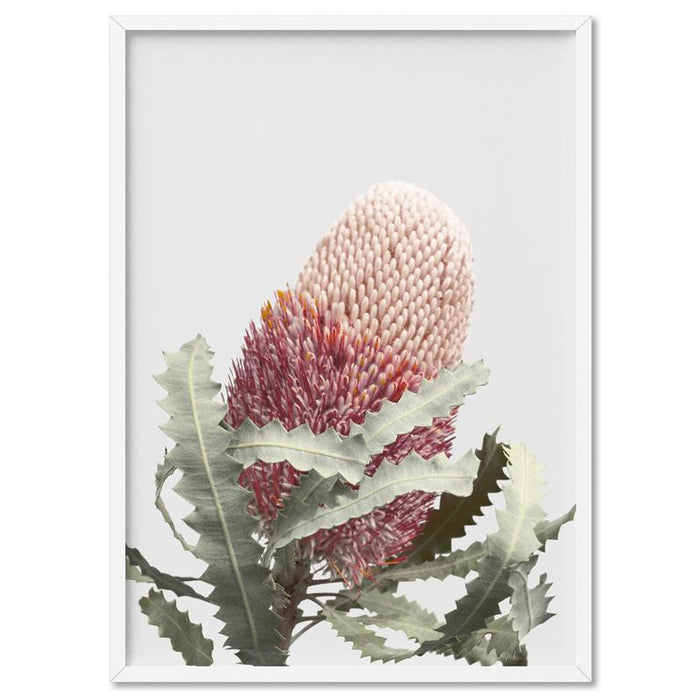 Blushing Banksia Flower - Art Print, Wall Art, Ozark Home 